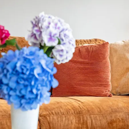 Vakantiehuis Near Dunes With Wellness Garden